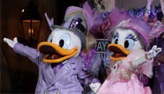 休みは、毎週のようにディズニーランドかディズニーシーへ
